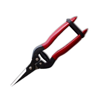 SINSEUNG X3 Hardware-Schere mit alkalischer schwarzer Farbstoffbeschichtung an den Klingen