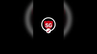 260121-1 Hochentaster SG